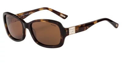 BB Pol Mel Brown Brown Pol 56-18-135 6B PR A