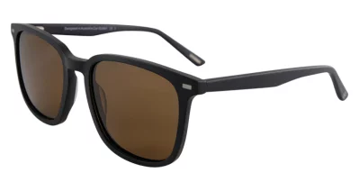 BB Pol Carl Matt Black Brown Pol 55-20-145 6B A