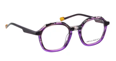 Bellinger Inside-5 760